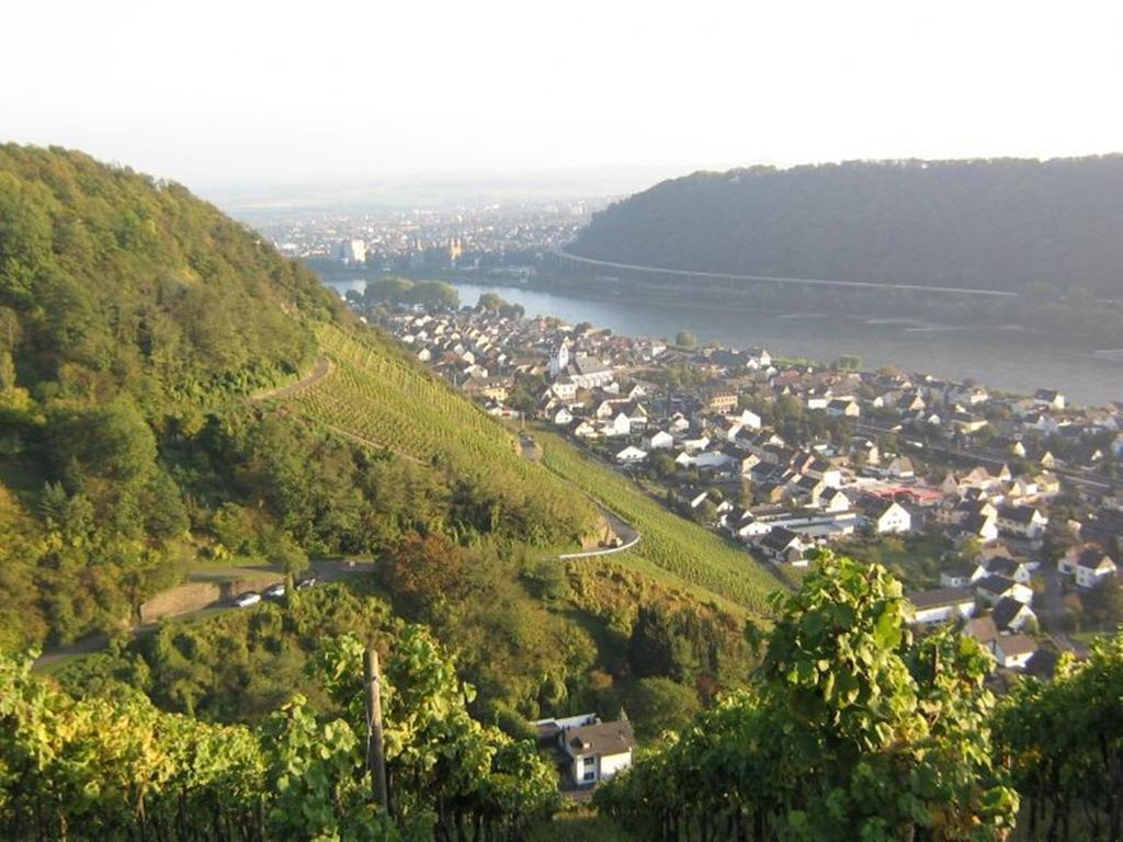 Hotel Am Martinsberg Andernach Exteriör bild